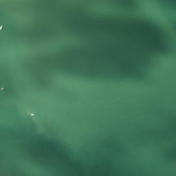 Satellite imagery of Tungutu Point, NZ