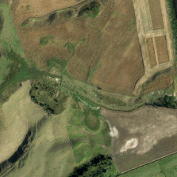 Satellite imagery of Tokotoroto Point, NZ