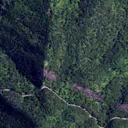 Satellite imagery of Long Point, NZ