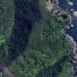 Satellite imagery of Long Point, NZ