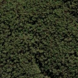 Satellite imagery of Werri Berri, AU