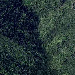 Satellite imagery of Long Point, NZ