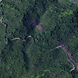 Satellite imagery of Long Point, NZ