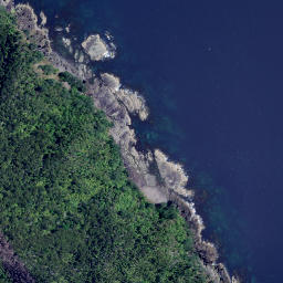Satellite imagery of Long Point, NZ