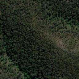 Satellite imagery of Warrigal Mountain, AU