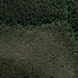 Satellite imagery of Warrigal Mountain, AU