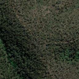 Satellite imagery of Warrigal Mountain, AU
