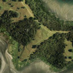 Satellite imagery of Cudlip Point, NZ