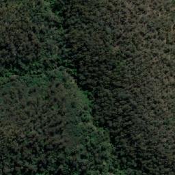 Satellite imagery of Warrigal Mountain, AU