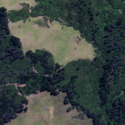 Satellite imagery of H8 (Harataunga SD), NZ
