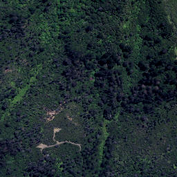 Satellite imagery of H8 (Harataunga SD), NZ
