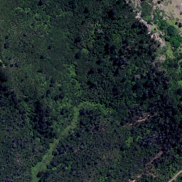 Satellite imagery of H8 (Harataunga SD), NZ