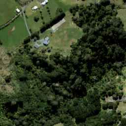Satellite imagery of B1 (Waiwera SD), NZ