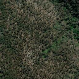 Satellite imagery of Mumbulla Mountain, AU