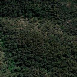 Satellite imagery of Mumbulla Mountain, AU