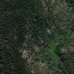 Satellite imagery of Mumbulla Mountain, AU