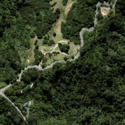 Satellite imagery of B1 (Waiwera SD), NZ