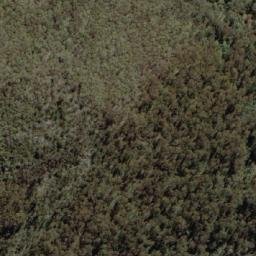 Satellite imagery of Lady Northcotes Chair, AU