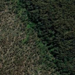 Satellite imagery of Mumbulla Mountain, AU