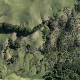 Satellite imagery of TUHIRANGI NO 3, NZ