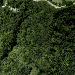 Satellite imagery of B1 (Waiwera SD), NZ
