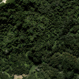 Satellite imagery of B1 (Waiwera SD), NZ