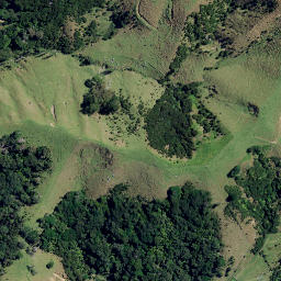 Satellite imagery of 3921, NZ