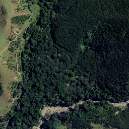 Satellite imagery of 3921, NZ