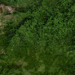 Satellite imagery of M MOEHAU, NZ