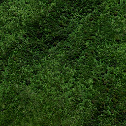 Satellite imagery of M MOEHAU, NZ