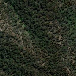 Satellite imagery of Mumbulla Mountain, AU
