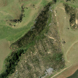 Satellite imagery of FULLER, NZ