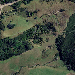 Satellite imagery of 3921, NZ