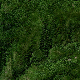 Satellite imagery of M MOEHAU, NZ