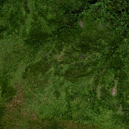 Satellite imagery of M MOEHAU, NZ