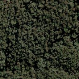 Satellite imagery of Mount Dorchap, AU
