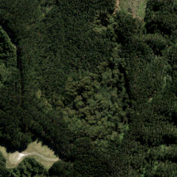 Satellite imagery of 3736, NZ