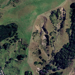 Satellite imagery of 3921, NZ
