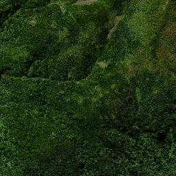 Satellite imagery of M MOEHAU, NZ