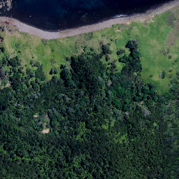 Satellite imagery of Motukauri Point, NZ