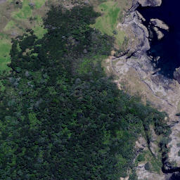 Satellite imagery of Motukauri Point, NZ