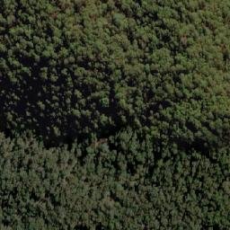 Satellite imagery of Mount Towonga, AU
