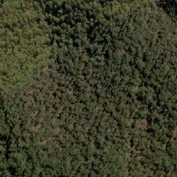 Satellite imagery of Mount Towonga, AU