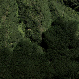 Satellite imagery of 3736, NZ
