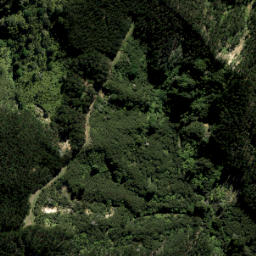 Satellite imagery of 3736, NZ