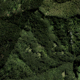 Satellite imagery of 3736, NZ
