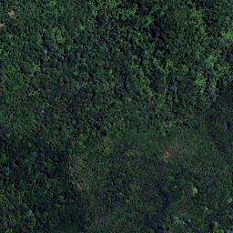 Satellite imagery of Motukauri Point, NZ