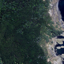 Satellite imagery of Motukauri Point, NZ