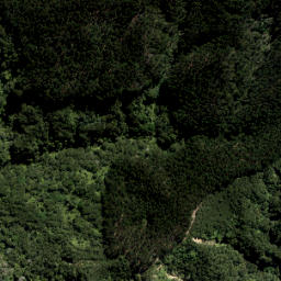 Satellite imagery of 3736, NZ