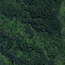 Satellite imagery of H5 ONEKURA, NZ